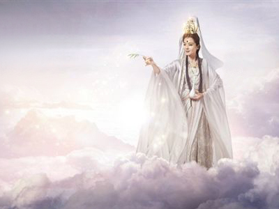 大师摄影教程十二《你是猴子请来的救兵吗》